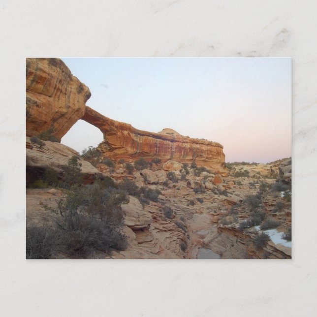 Owachomo-brygga vid naturbroar vykort (Framsida)