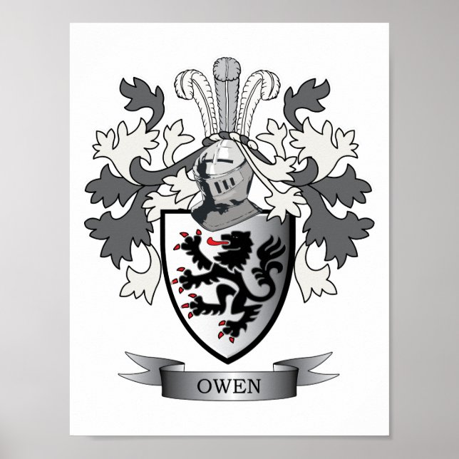 Owen Family Crest Jackar om Arm Poster (Framsidan)