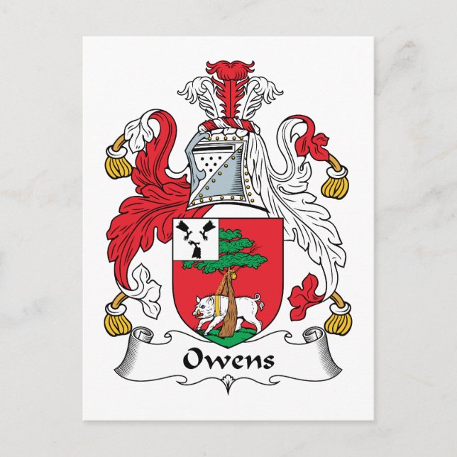 Owens Family Crest Vykort (Framsida)