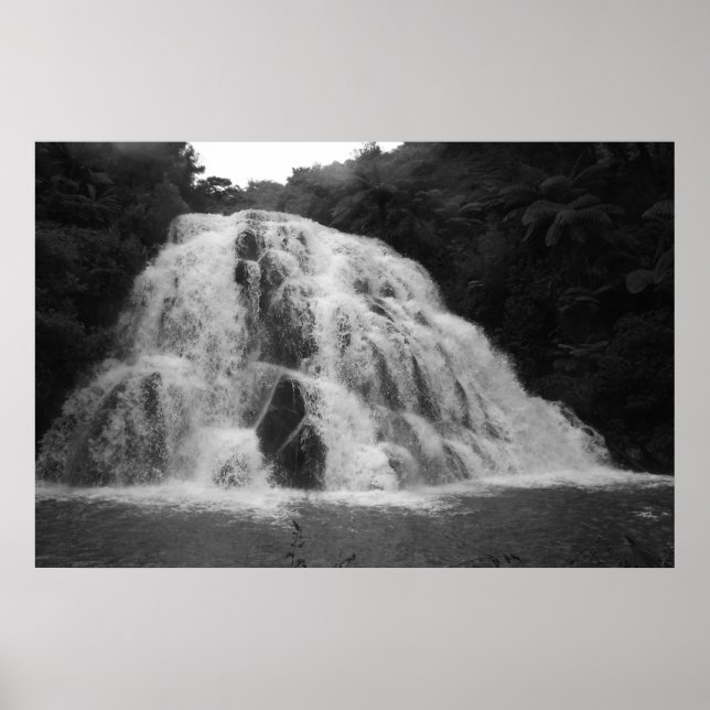 Owharoa Falls in Black and White Poster (Framsidan)