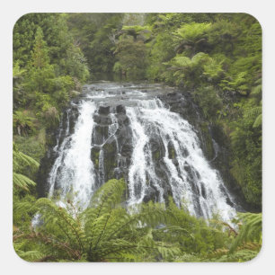 Owharoa Falls, Karangahake Gorge, nära Paeroa, Fyrkantigt Klistermärke