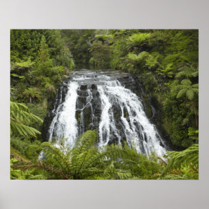 Owharoa Falls, Karangahake Gorge, nära Paeroa, Poster