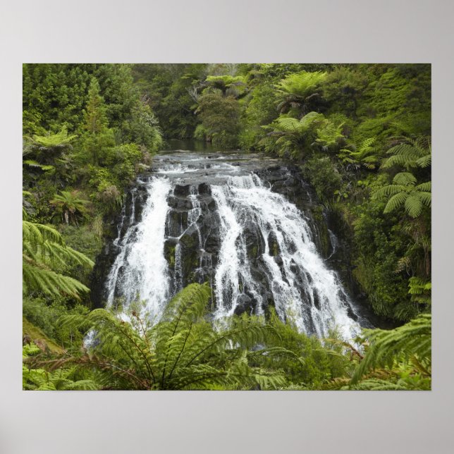 Owharoa Falls, Karangahake Gorge, nära Paeroa, Poster (Framsidan)