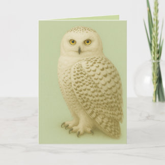 "Owl be missing you" card. Kort