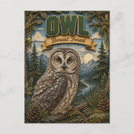 Owl Boreal Forest POPCUT Vykort