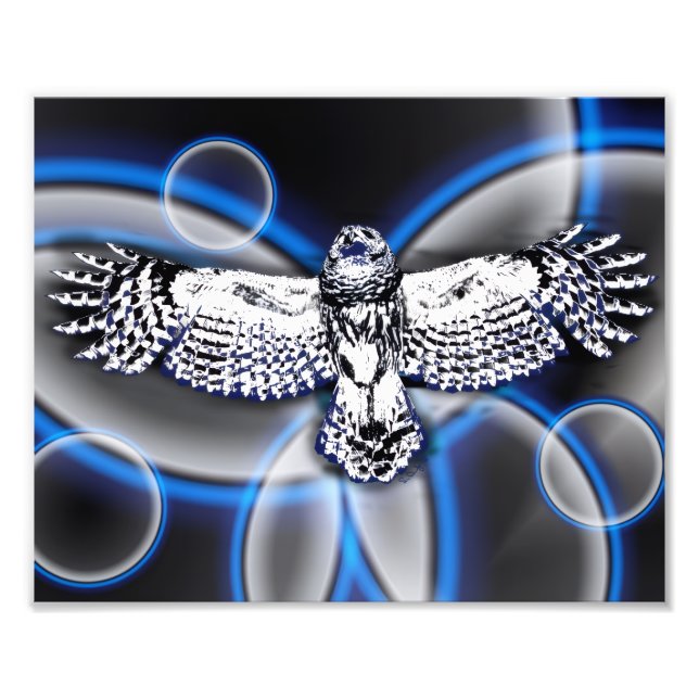 Owl Fototryck (Framsidan)