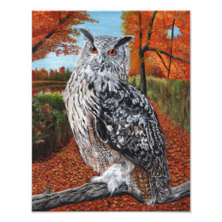 Owl in Autumn Forest Fine Art  Fototryck