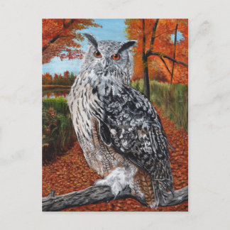 Owl in Autumn forest fine art Vykort