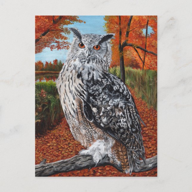 Owl in Autumn forest fine art Vykort (Framsida)
