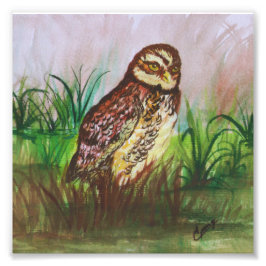Owl in nature watercolor art fototryck