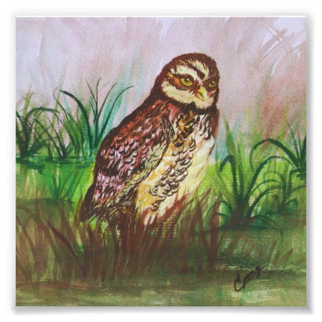 Owl in nature watercolor art fototryck (Framsidan)