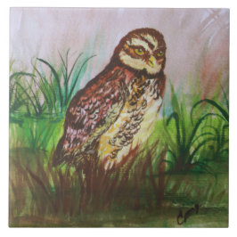 Owl in nature watercolor art kakelplatta