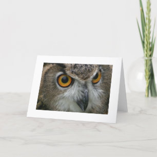 Owl Kort