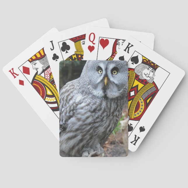 Owl Portrait Photograph Casinokort (Baksidan)
