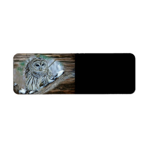 Owl Returadress Etikett