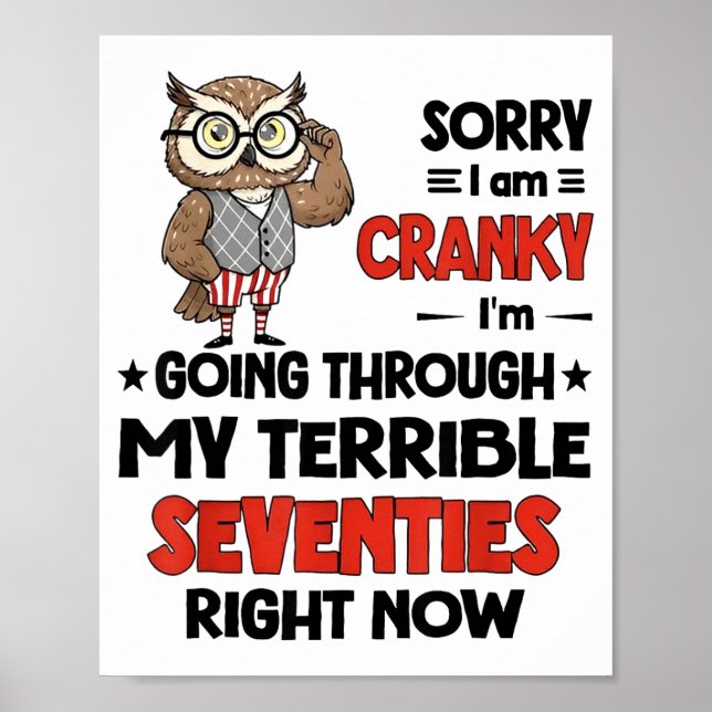 Owl Sorry I'm Cranky I'm Going Through My Terrible Poster (Framsidan)
