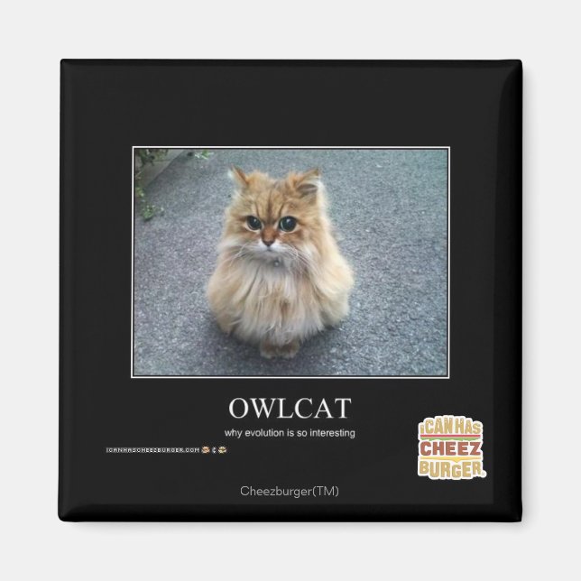 Owlcat Magnet (Framsidan)