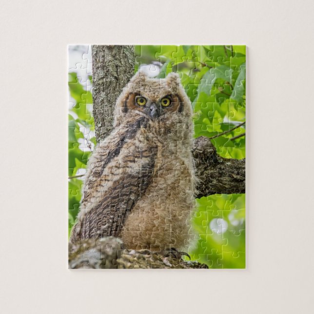 Owlet Pussel (Vertikal)