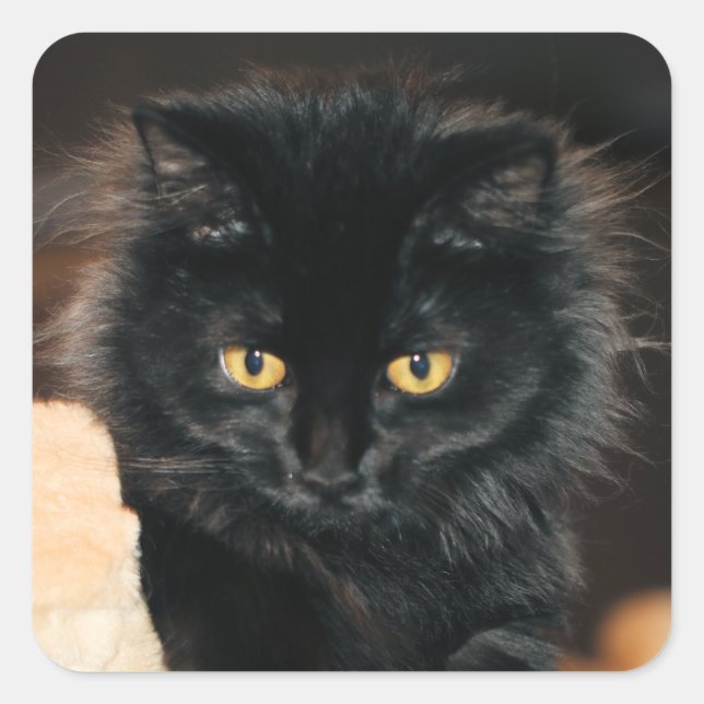 Owlette Fyrkantigt Klistermärke (Framsida)