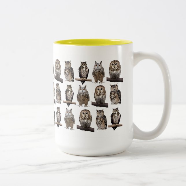 Owls Två-Tonad Mugg (Höger)