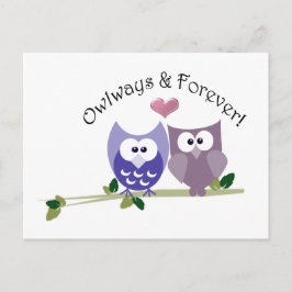 Owlways och Forever! Cute Uggla-design Vykort