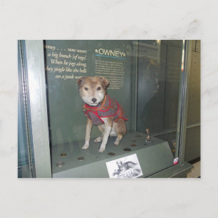Owney National Post Office Museum Mascot Vykort