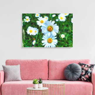 Ox-Öga-Daisy Canvastryck