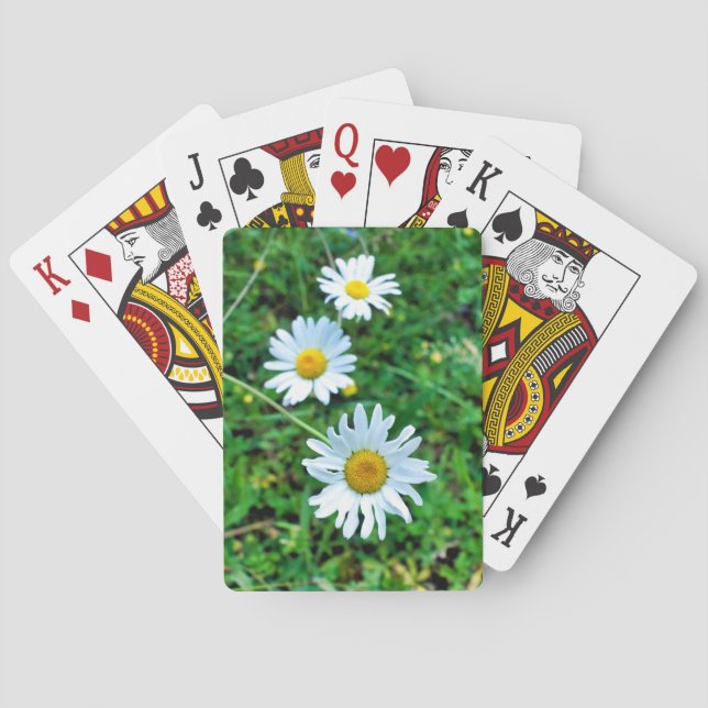 Ox-Öga-Daisy Casinokort (Baksidan)