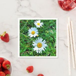 Ox Öga Daisy Napkins Pappersservett