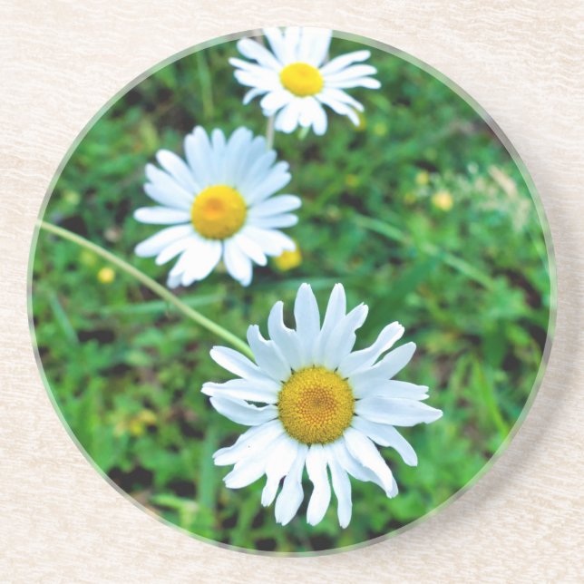 Ox-Öga-Daisy Underlägg (Framsidan)