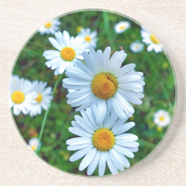 Ox-Öga-Daisy Underlägg (Framsidan)