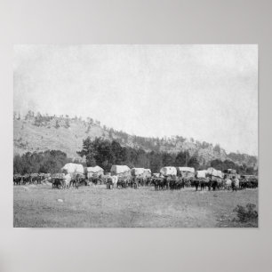 Ox Teams and Wagons in a Valley of the Black Poster