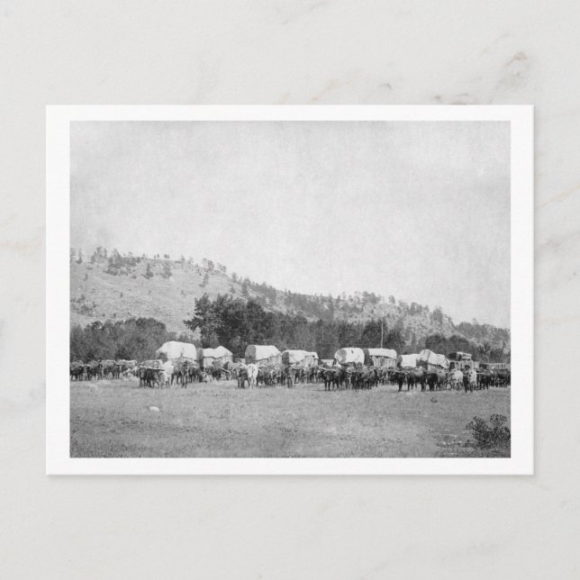 Ox Teams and Wagons in a Valley of the Black Vykort (Framsida)