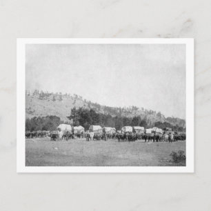 Ox Teams and Wagons in a Valley of the Black Vykort