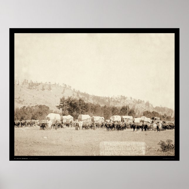 Ox Teams Freighting in Valley Black Backe SD 1887 Poster (Framsidan)