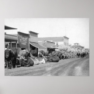 Ox Teams längs huvudgatan i Sturgis Photograph Poster