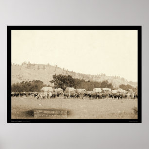 Ox Teams & Wagons Freighting Black Backe SD 1887 Poster