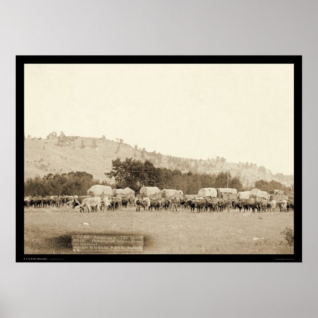 Ox Teams & Wagons Freighting Black Backe SD 1887 Poster (Framsidan)