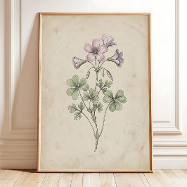 Oxalis Blomma Vintage Farmhouse Konsttryck Poster