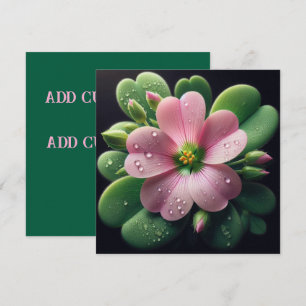 Oxalis-kort för klöver Blommigt Rosa och Grönt