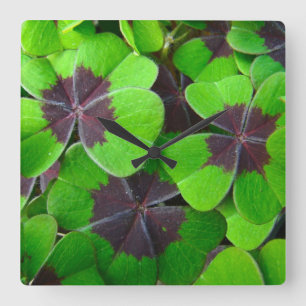 Oxalis Löv - Röd och Grönt Fyrkantig Klocka