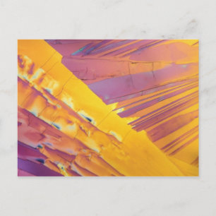 Oxalsyra Crystals Vykort