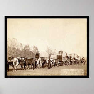 Oxar som fraktar i Blacket Hills SD 1887 Poster
