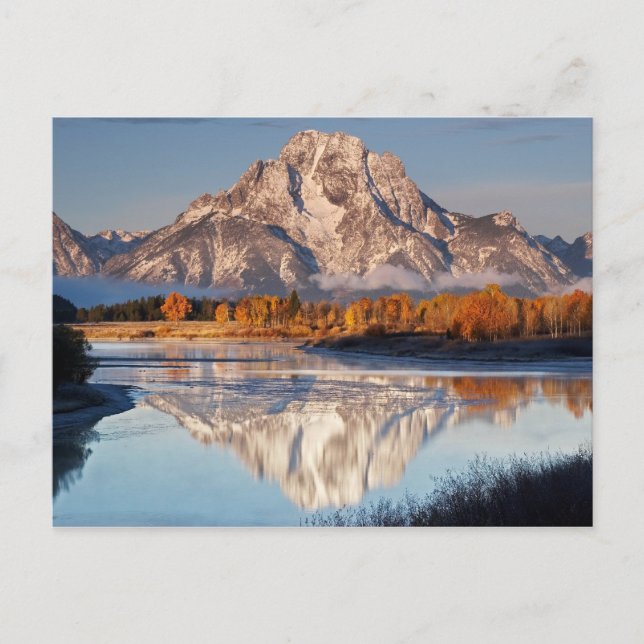 Oxbow Bend, Grand Tetons, i morgonljuset.. Vykort (Framsida)