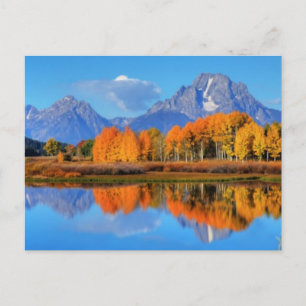 Oxbow Bend Sunrise Vykort