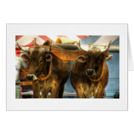 Oxelag på smörgåsmässan: Kort