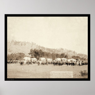 Oxelag som fraktar i dalen Black Hills SD 1887 Poster