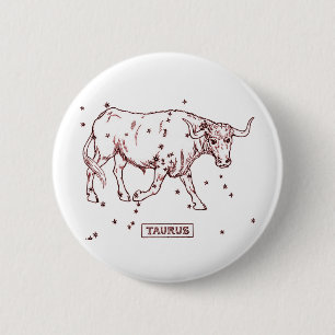 Oxen Knapp
