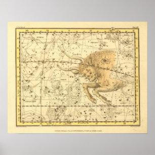 Oxen Poster