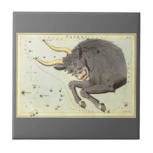Oxen Tjuren, Vintage Konstellation Urania's Mirror Kakelplatta